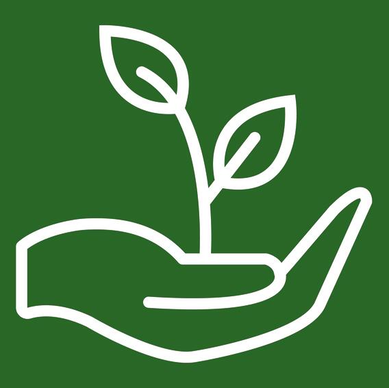 Certificado del producto Camiseta orgánica Authentic Pure mujer