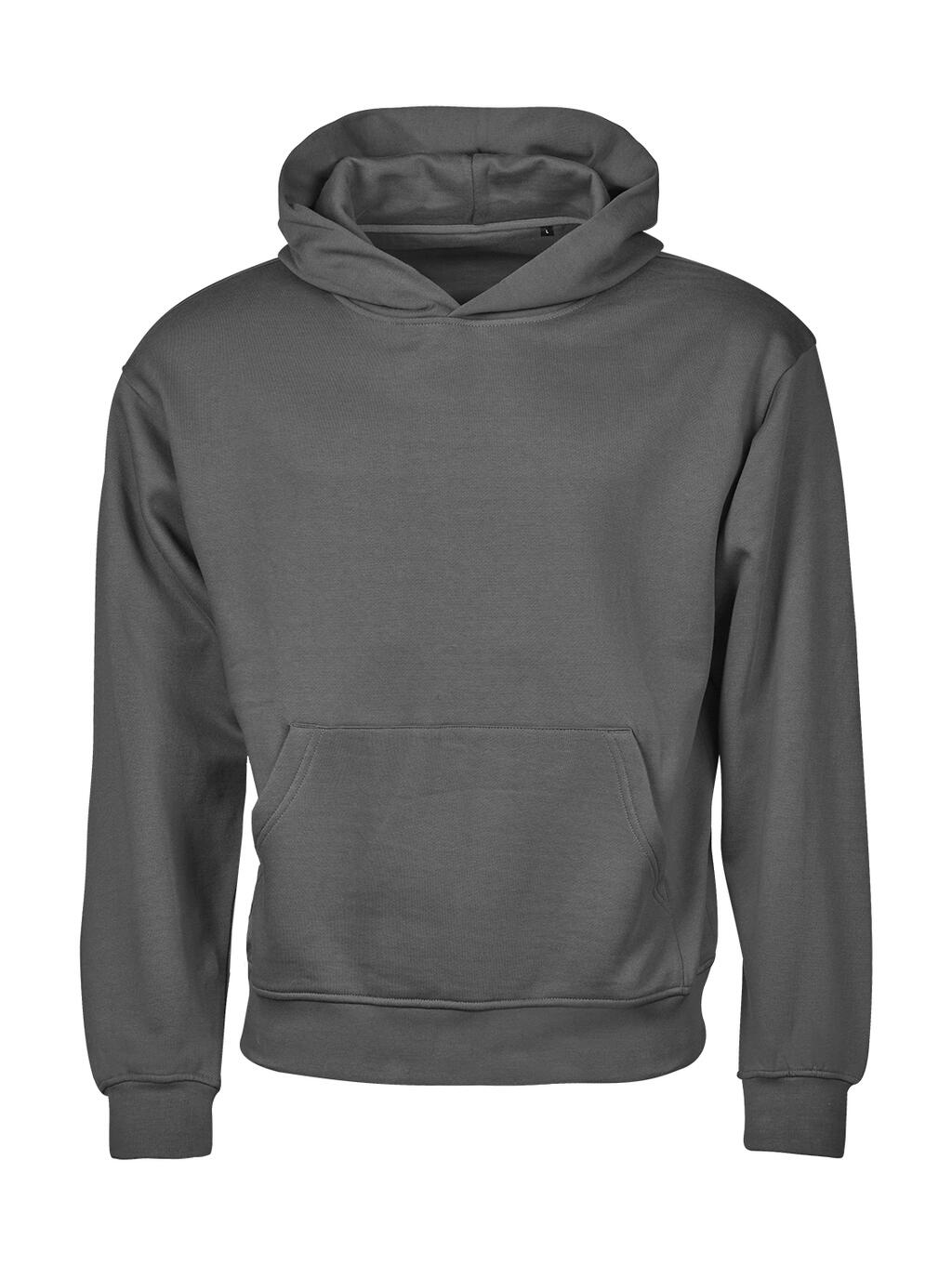 Sudadera Heavy con Capucha Loose Fit Urban Powder Grey