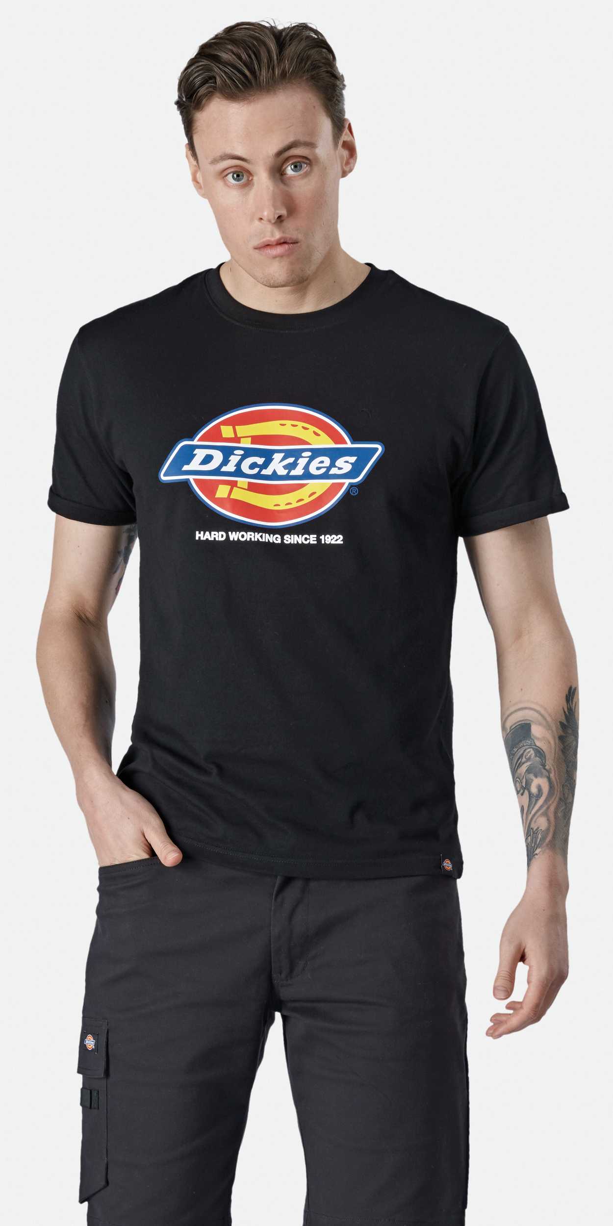  Dickies Camiseta DENISON hombre (DT6010)