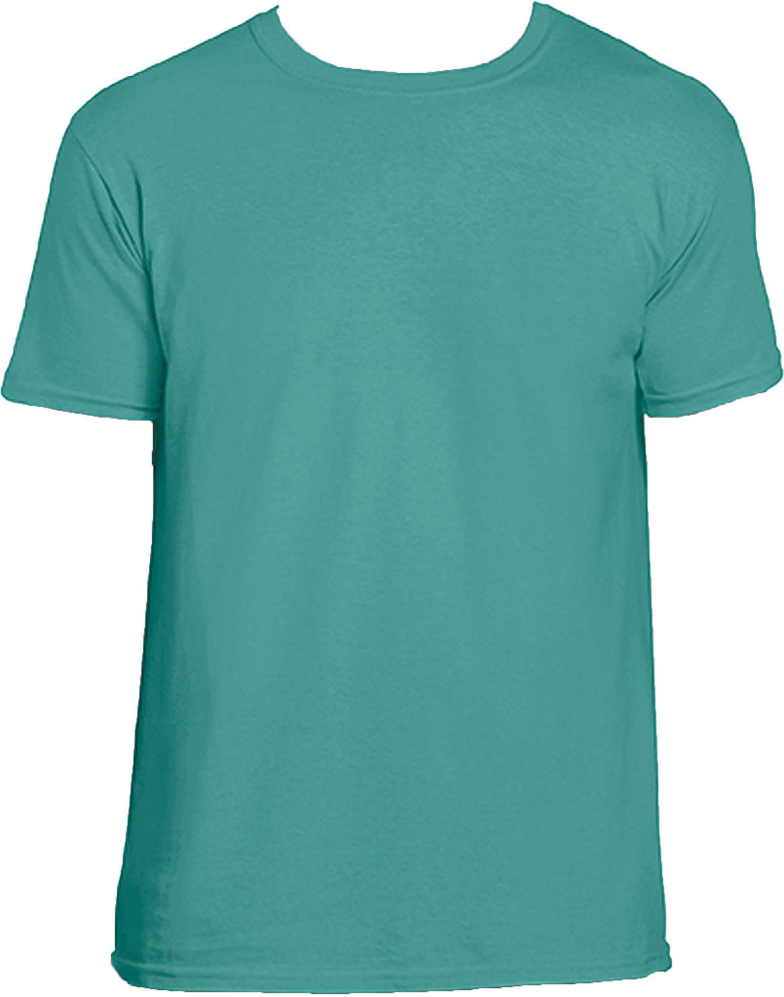 Camiseta Softstyle hombre Jade Dome