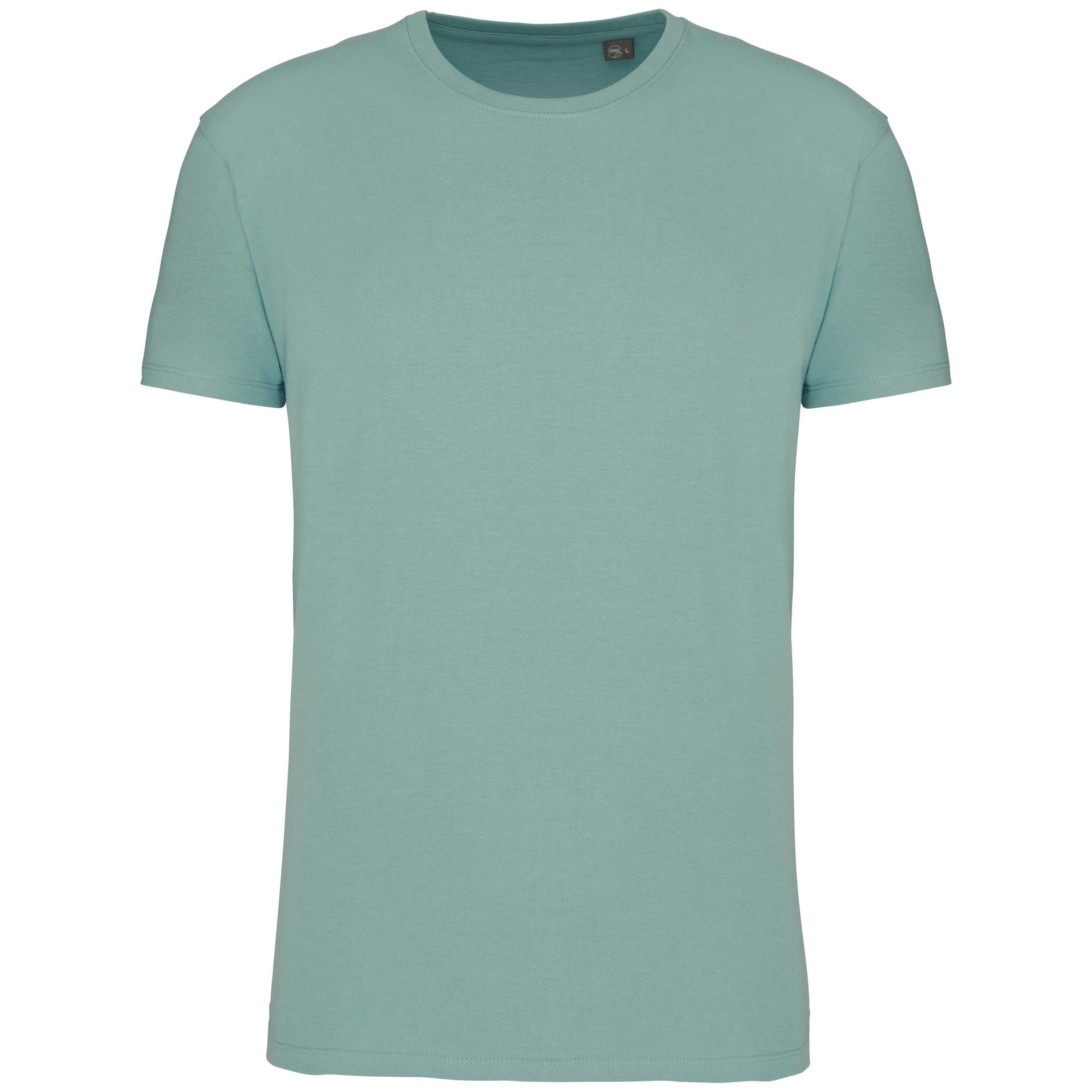 Camiseta BIO150IC hombre Sage
